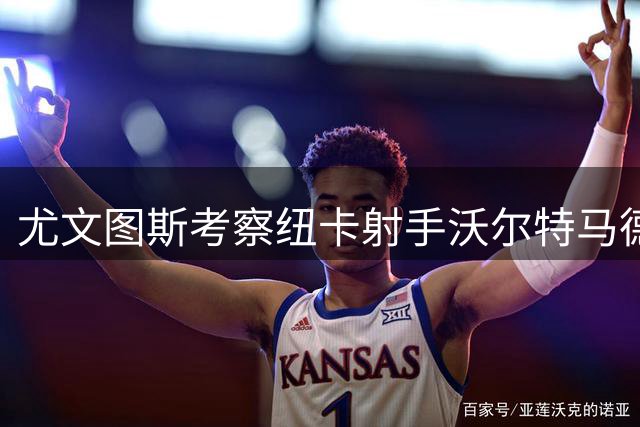 尤文图斯考察纽卡射手沃尔特马德 或采用租借+买断形式